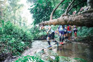 BIB: 
                            <button type="button" onclick="openModal(25456004)" class="btn btn-primary btn-sm float-right btn-popup" data-toggle="modal" data-target=".modal-high-quality">
                        <i class="fas fa-shopping-cart"></i> Add to Cart
                    </button>
                                            <button type="button" onclick="isThisMe(25456004, true)" class="btn btn-success btn-sm float-right btn-popup btn-isme hidden" data-toggle="tooltip" data-placement="bottom" title="นี่คือรูปของคุณใช่ไหม คลิกที่นี่เพื่อเอาเข้าอัลบั้ม">
                        <i class="fas fa-plus"></i> Add to album
                    </button>
                    <button type="button" onclick="isThisMe(25456004, false)" class="btn btn-warning btn-sm float-right btn-popup btn-isnotme hidden">
                        <i class="fas fa-ban"></i> Remove from album
                    </button>